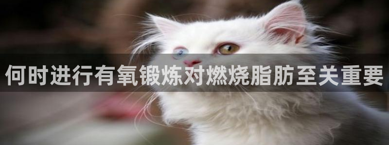 谈球吧：何时进行有氧锻炼对燃烧脂肪至关重要