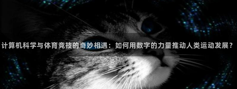 谈球吧体育官网：计算机科学与体育竞技的奇妙相遇：如何用数字的力量推动人类运动发展？