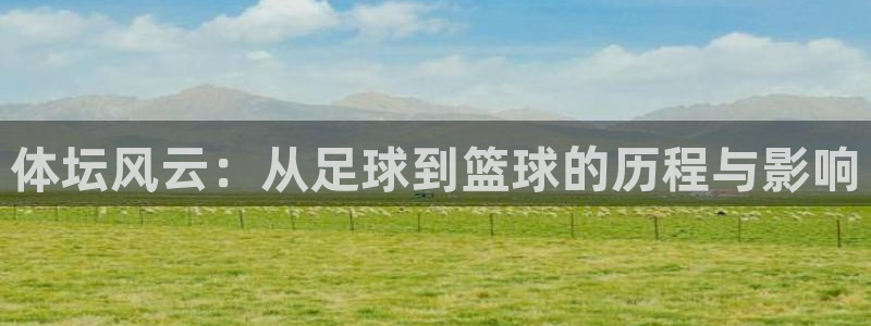 谈球吧：体坛风云：从足球到篮球的历程与影响