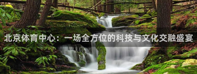 谈球吧：北京体育中心：一场全方位的科技与文化交融盛宴
