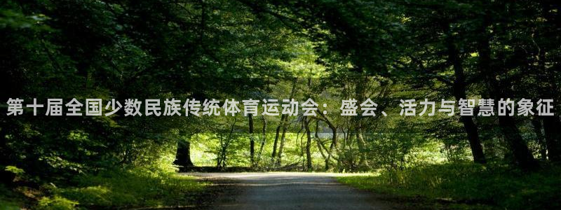 谈球吧体育：第十届全国少数民族传统体育运动会：盛会、活力与智慧的象征