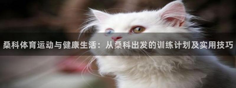 谈球吧体育：桑科体育运动与健康生活：从桑科出发的训练计划及实用技巧