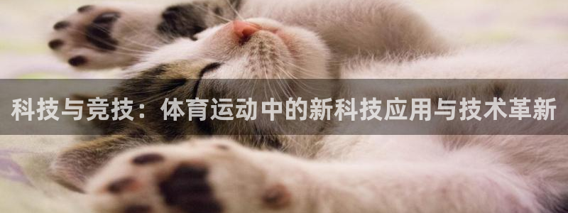 谈球吧体育：科技与竞技：体育运动中的新科技应用与技术革新