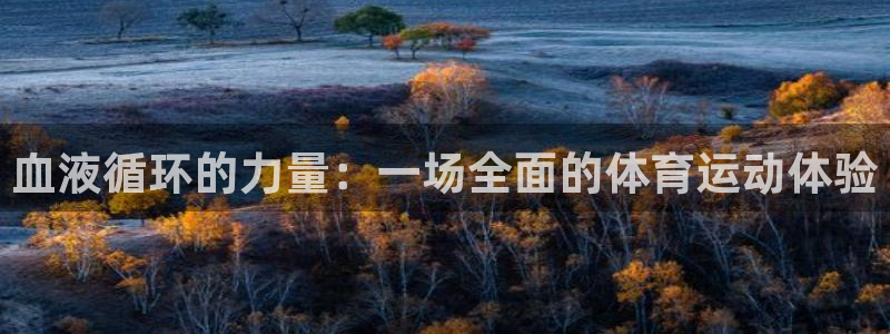 谈球吧体育：血液循环的力量：一场全面的体育运动体验