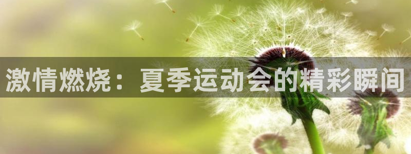 谈球吧体育：激情燃烧：夏季运动会的精彩瞬间