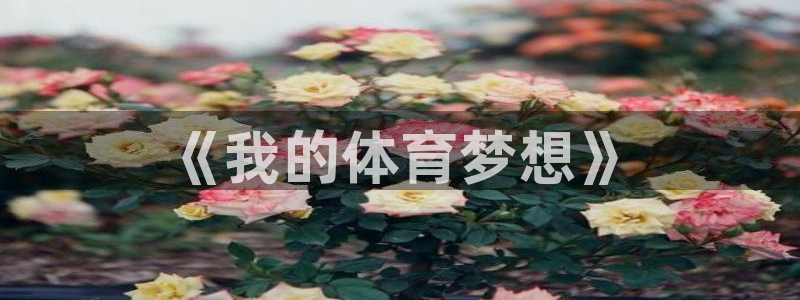 谈球吧：《我的体育梦想》