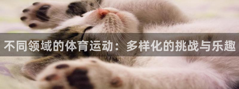 谈球吧：不同领域的体育运动：多样化的挑战与乐趣