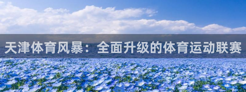 谈球吧体育官网：天津体育风暴：全面升级的体育运动联赛