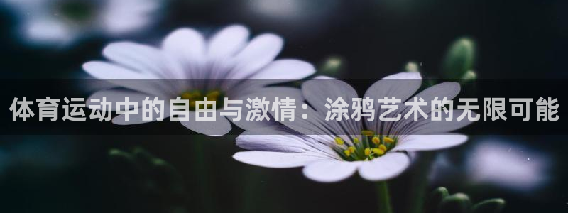 谈球吧：体育运动中的自由与激情：涂鸦艺术的无限可能