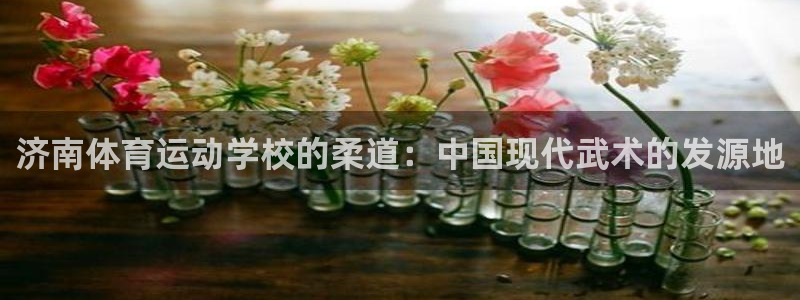 谈球吧：济南体育运动学校的柔道：中国现代武术的发源地