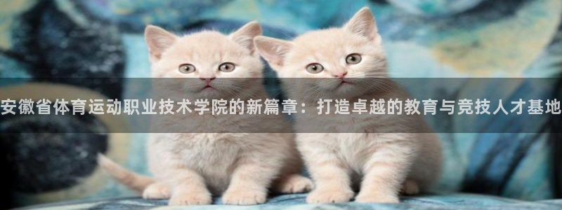 谈球吧体育：安徽省体育运动职业技术学院的新篇章：打造卓越的教育与竞技人才基地