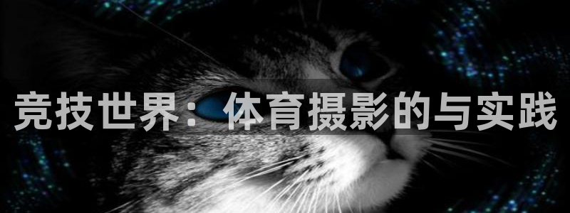 谈球吧体育：竞技世界：体育摄影的与实践